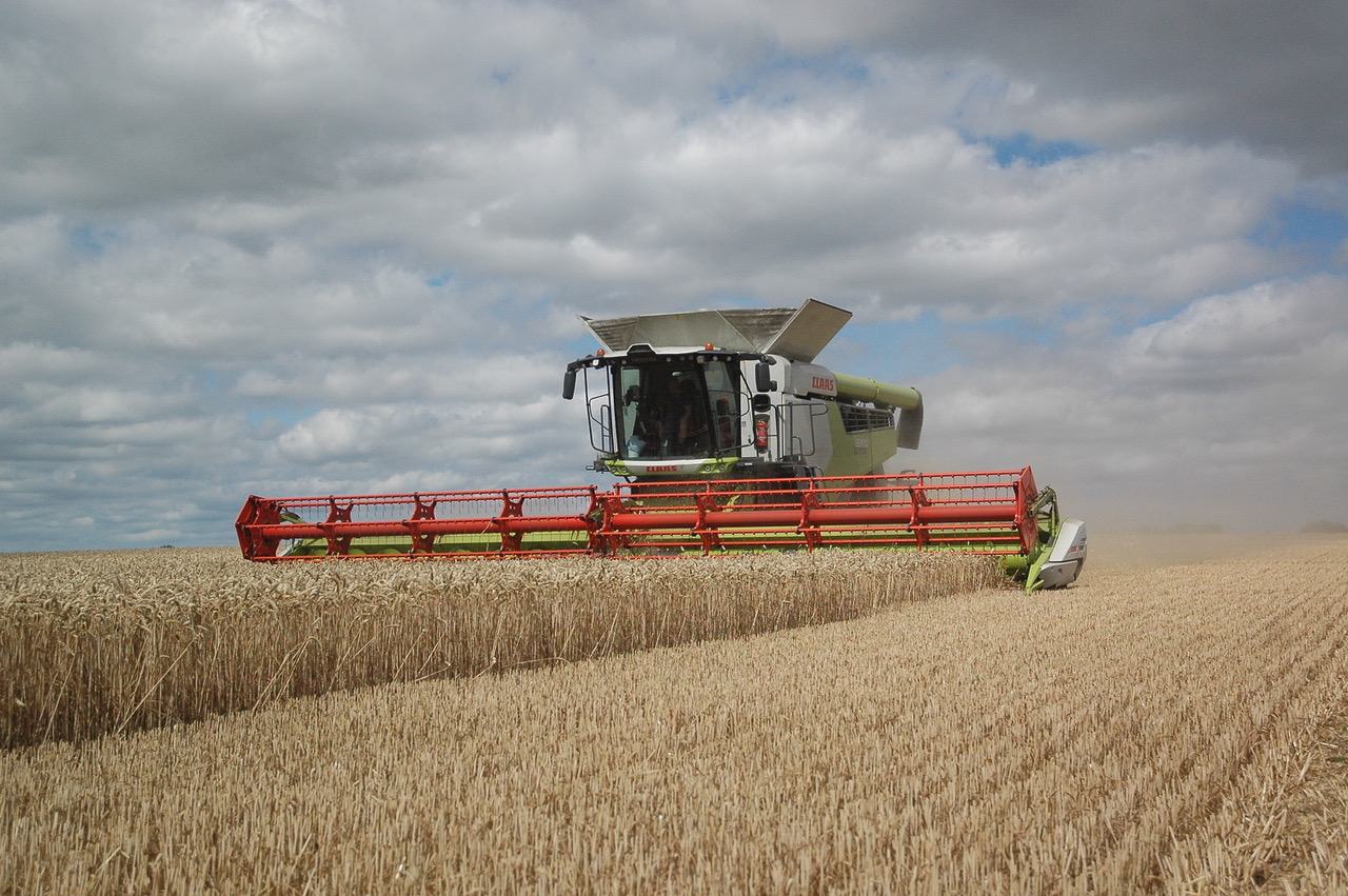 Claas 8700 harvesting winter wheat