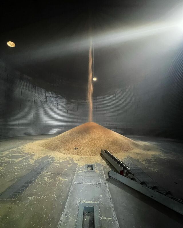 The other side of harvest 😷 #harvest22 #harvest #harvest2022