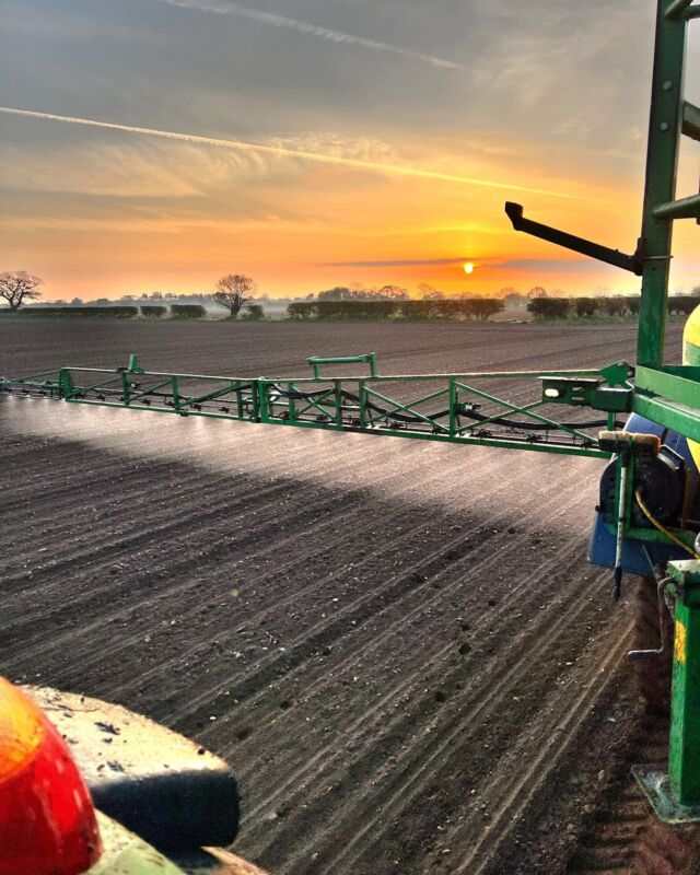 A still, dry (ish) morning at last. 
Sugar Beet at dawn ⛅️ #sugarbeet