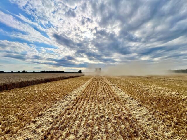 There’s a @claas 8700 in there somewhere. @claas_uk @claasmanns
