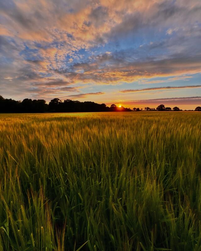 Farming can be a really tough industry, but we are really fortunate to have views like this on our doorstep