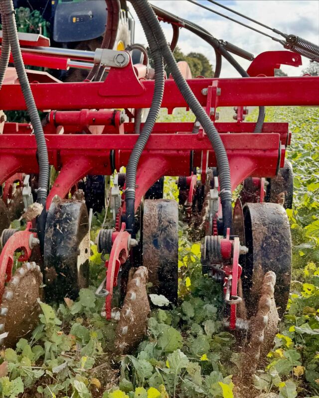 First day of wheat drilling complete. Surprisingly dry - worm counts are really encouraging.